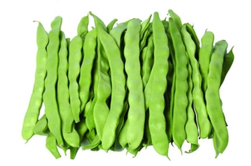 Çalı Fasulyesi Özellikleri ve Faydaları Nelerdir?